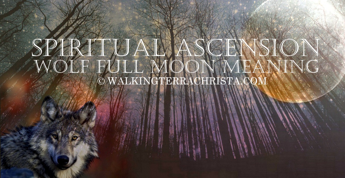 WOLF MOON SPIRITUAL MEANING Master Djwhal Khul Transformation Within